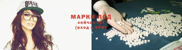 apvp Заводоуковск