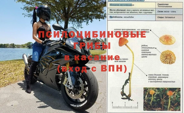 apvp Заводоуковск