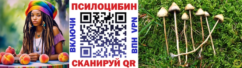 Псилоцибиновые грибы MAGIC MUSHROOMS  Купить закладки  Перевоз 